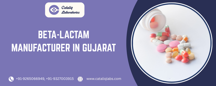 Beta-lactam Manufacturer In Gujarat