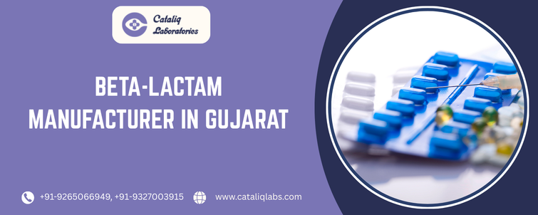 Beta-lactam Manufacturer In Gujarat