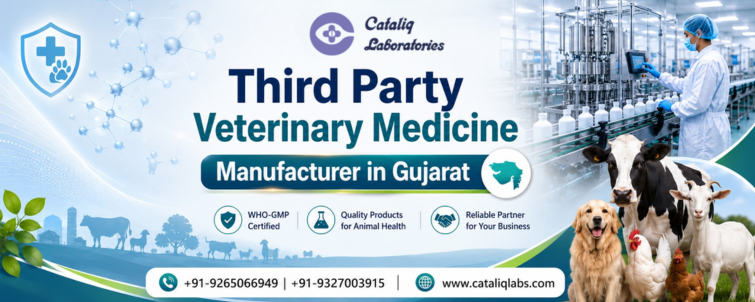 Third Party Veterinary Medicine Manufacturer In Gujarat