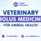 Veterinary Bolus Medicine For Animal Health