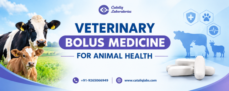 Veterinary Bolus Medicine For Animal Health