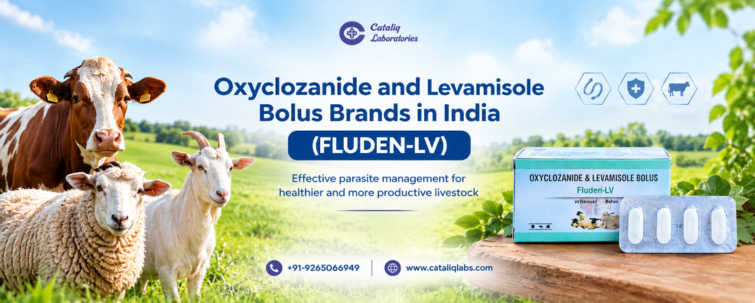 Oxyclozanide and Levamisole Bolus Brands in India (FLUDEN-LV)