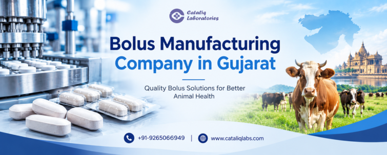 bolus manufacturing company in gujarat